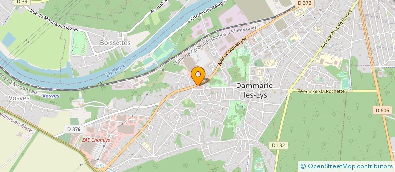 localisation de l'entreprise MADAME NATASA REBECA à DAMMARIE-LES-LYS