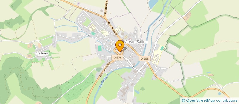 localisation de l'entreprise MADAME NATASHA DADLANI  CHATEAU-SALINS