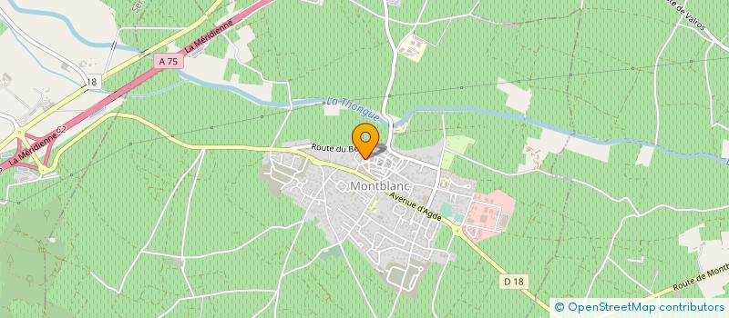 localisation de l'entreprise MADAME NATHALIE ARIZA  MONTBLANC