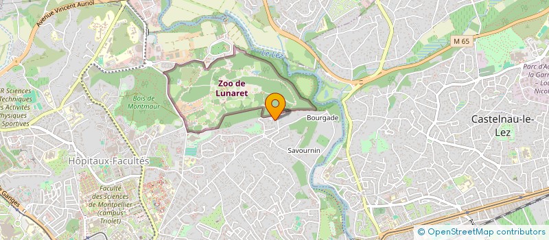 localisation de l'entreprise MADAME NATHALIE ASSOULINE à MONTPELLIER