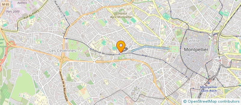 localisation de l'entreprise MADAME NATHALIE AVELLANEDA à MONTPELLIER