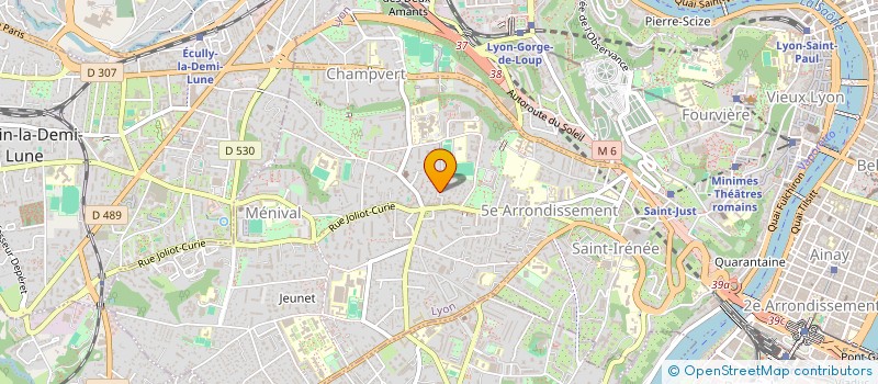 localisation de l'entreprise MADAME NATHALIE BARBERIS à LYON