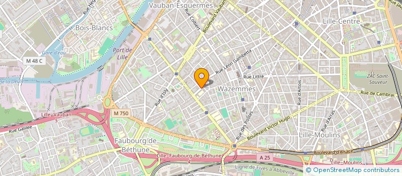 localisation de l'entreprise MADAME NATHALIE BEAUDELOT à LILLE