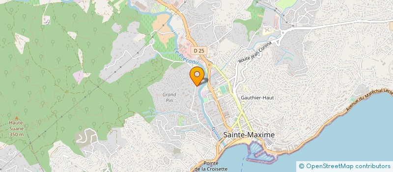localisation de l'entreprise MADAME NATHALIE BERENGUIER à SAINTE-MAXIME