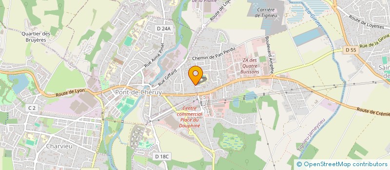 localisation de l'entreprise MADAME NATHALIE BERTHAUD  CHAPONOST