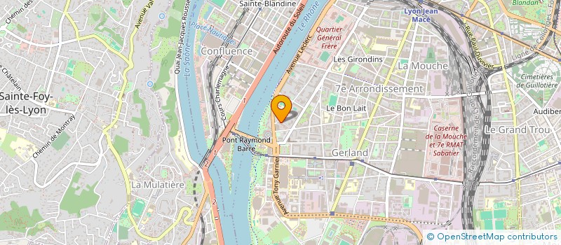 localisation de l'entreprise MADAME NATHALIE BERTHEAUME  LYON