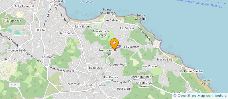 localisation de l'entreprise MADAME NATHALIE BERTHET  L'ILE-D'YEU