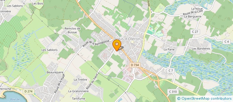 localisation de l'entreprise MADAME NATHALIE BON  DOLUS-D'OLERON