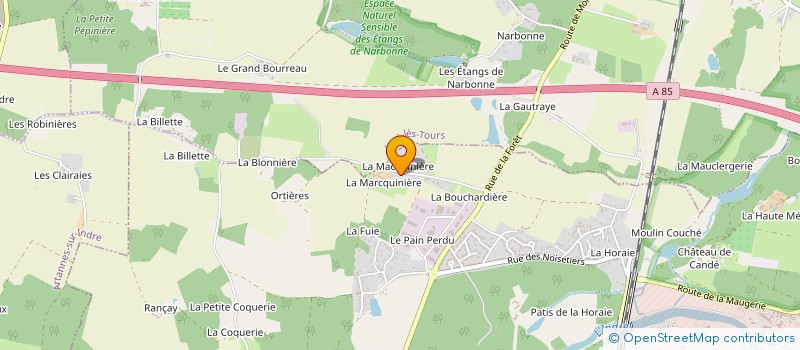 localisation de l'entreprise MADAME NATHALIE BORDERIE à MONTS