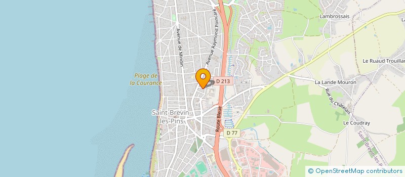 localisation de l'entreprise MADAME NATHALIE BOSSARD à SAINT-BREVIN-LES-PINS