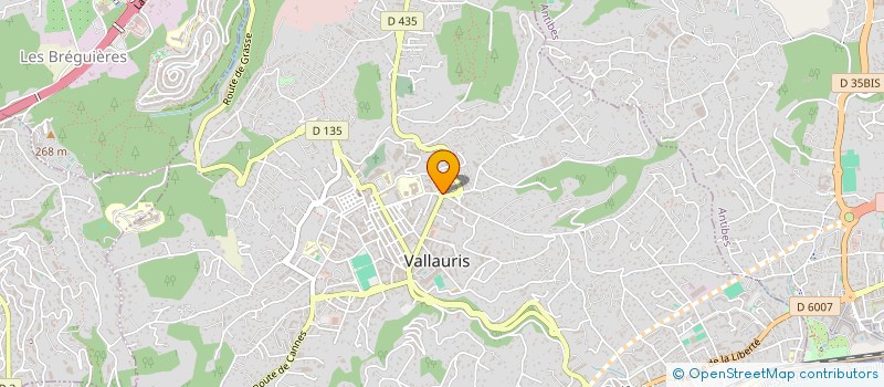 localisation de l'entreprise MADAME NATHALIE BOTTASSO à VALLAURIS