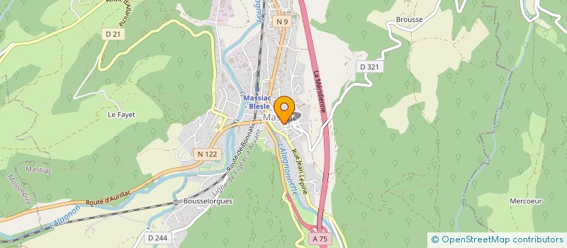localisation de l'entreprise MADAME NATHALIE BOUCHER à MASSIAC