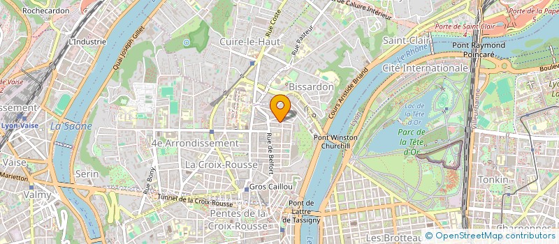 localisation de l'entreprise MADAME NATHALIE BOUSSIN  LYON