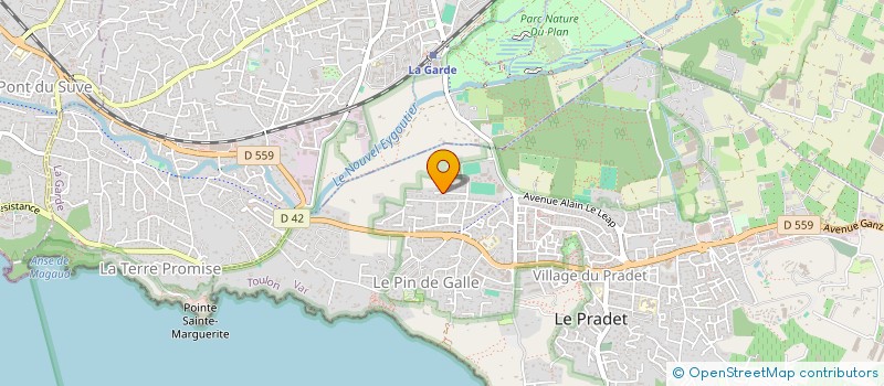 localisation de l'entreprise MADAME NATHALIE BRAY  LE PRADET