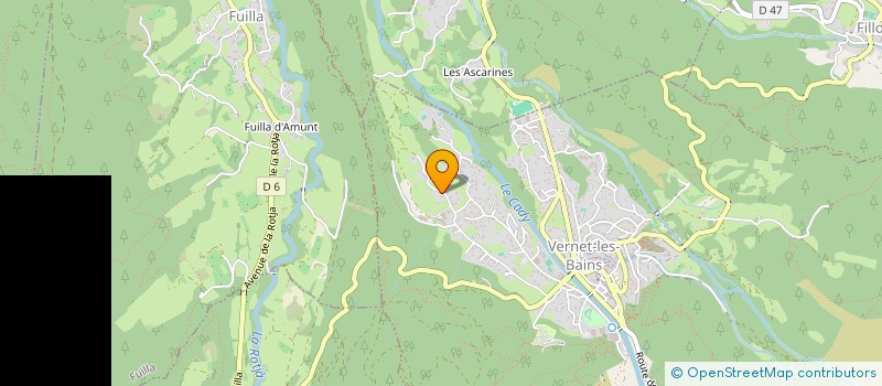 localisation de l'entreprise MADAME NATHALIE BUONO  VERNET-LES-BAINS