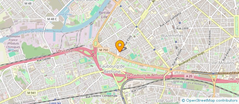 localisation de l'entreprise MADAME NATHALIE CAILLOT à LILLE
