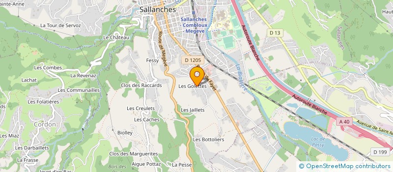 localisation de l'entreprise MADAME NATHALIE CHAMBEL  SALLANCHES