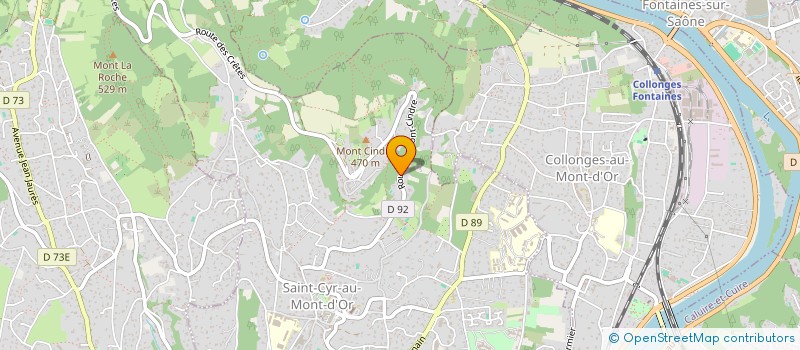 localisation de l'entreprise MADAME NATHALIE CHAPUIS  SAINT-CYR-AU-MONT-D'OR