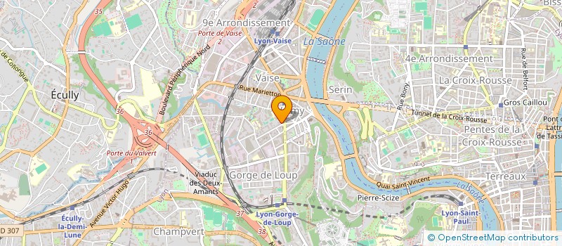 localisation de l'entreprise MADAME NATHALIE CHAZEAU  LYON