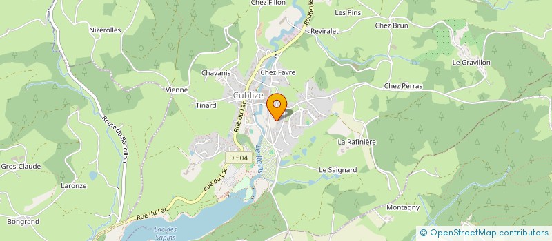 localisation de l'entreprise MADAME NATHALIE CINQUIN  CUBLIZE