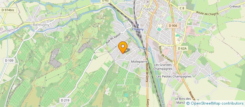 localisation de l'entreprise MADAME NATHALIE CONTINI  CHAGNY