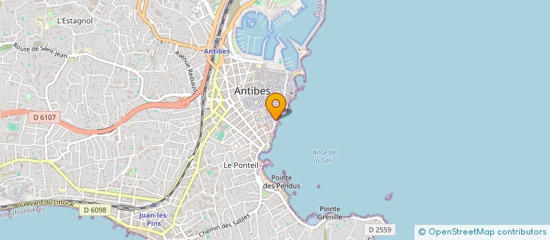 localisation de l'entreprise MADAME NATHALIE COULON  ANTIBES