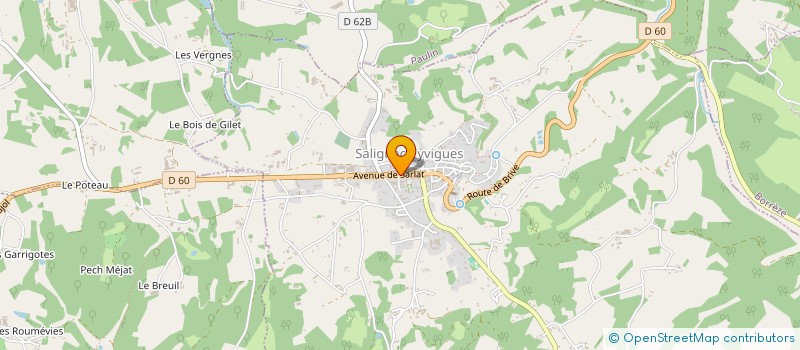 localisation de l'entreprise MADAME NATHALIE CUVILLON  SALIGNAC-EYVIGUES