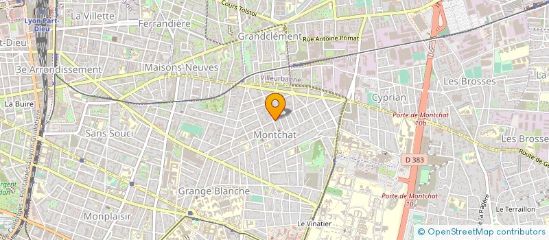 localisation de l'entreprise MADAME NATHALIE DE BIASI  LYON