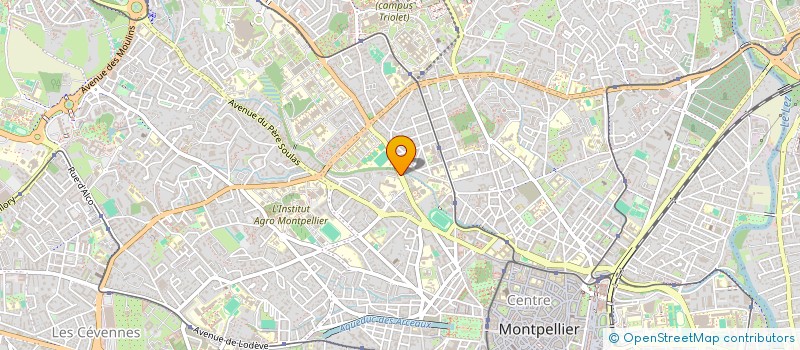 localisation de l'entreprise MADAME NATHALIE DELASSIS à MONTPELLIER