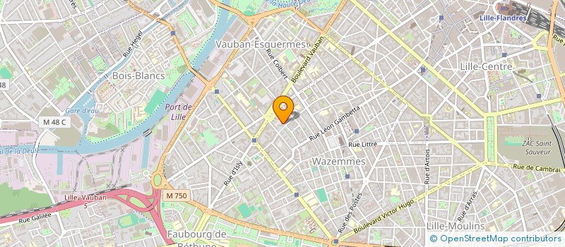 localisation de l'entreprise MADAME NATHALIE DELECOUR  LILLE