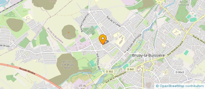 localisation de l'entreprise MADAME NATHALIE DELETTRE  BRUAY-LA-BUISSIERE