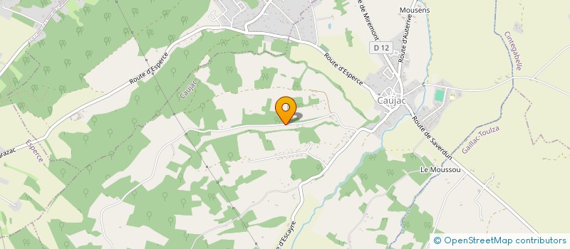 localisation de l'entreprise MADAME NATHALIE DUBUC  CAUJAC