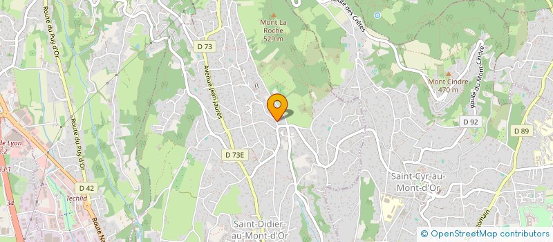 localisation de l'entreprise MADAME NATHALIE DUNY  SAINT-DIDIER-AU-MONT-D'OR