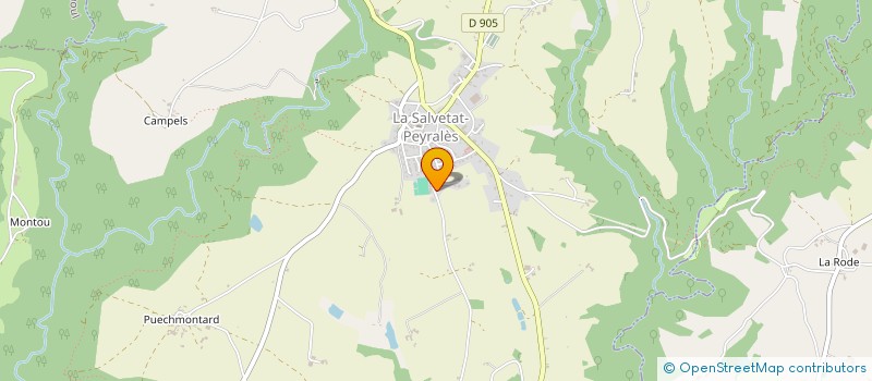 localisation de l'entreprise MADAME NATHALIE ESTIVALS  TOULOUSE