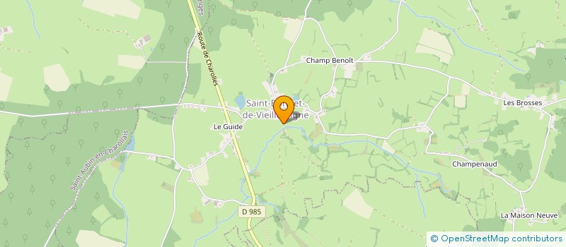 localisation de l'entreprise MADAME NATHALIE FAGE  ST BONNET-DE-VIEILLE-VIGNE