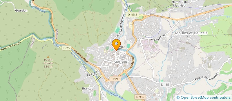 localisation de l'entreprise MADAME NATHALIE FERMAUT  GANGES