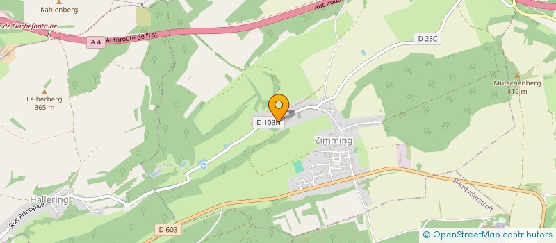 localisation de l'entreprise MADAME NATHALIE GAMEL  ZIMMING