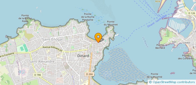 localisation de l'entreprise MADAME NATHALIE GEAY  DINARD