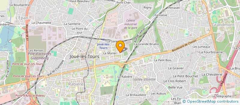 localisation de l'entreprise MADAME NATHALIE GOMMERS  JOUE-LES-TOURS