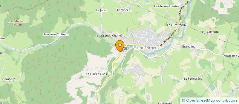 localisation de l'entreprise MADAME NATHALIE GRANJARD  SAINT-FORGEUX
