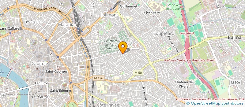localisation de l'entreprise MADAME NATHALIE GRONDIN  TOULOUSE