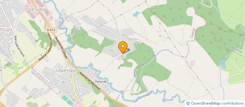 localisation de l'entreprise MADAME NATHALIE IZARD  VALDURENQUE