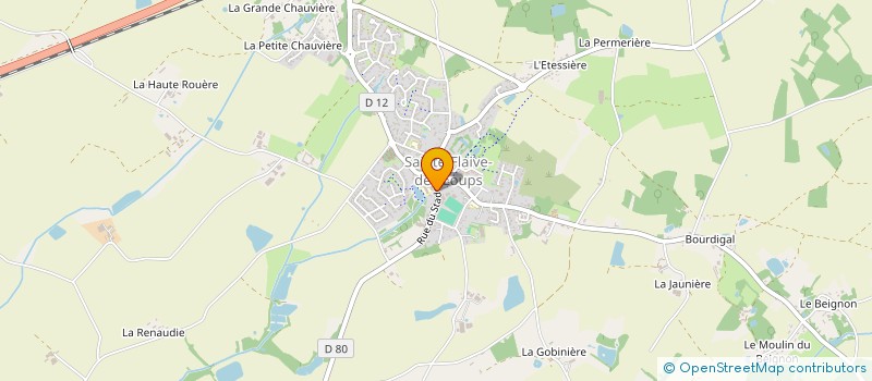 localisation de l'entreprise MADAME NATHALIE JAULIN  SAINTE-FLAIVE-DES-LOUPS