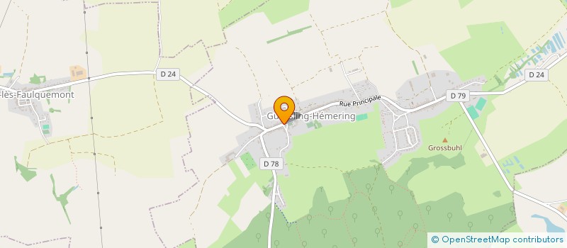 localisation de l'entreprise MADAME NATHALIE KACZMAREK  GUESSLING-HEMERING