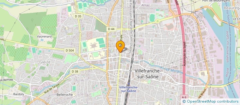 localisation de l'entreprise MADAME NATHALIE LAURENT  VILLEFRANCHE-SUR-SAONE