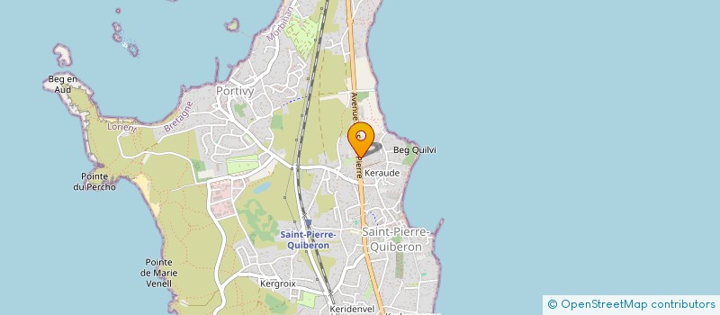 localisation de l'entreprise MADAME NATHALIE LAVOUE  SAINT-PIERRE-QUIBERON