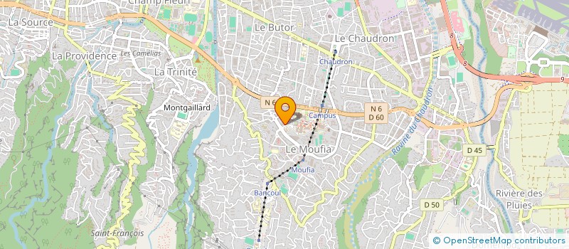 localisation de l'entreprise MADAME NATHALIE LEONARD  SAINT-DENIS