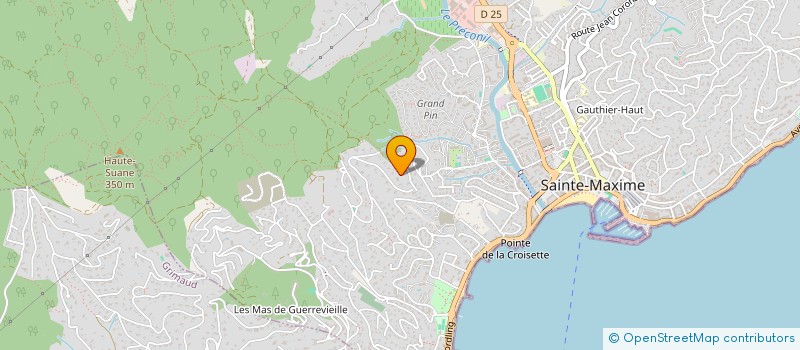 localisation de l'entreprise MADAME NATHALIE LEVERT à SAINTE-MAXIME