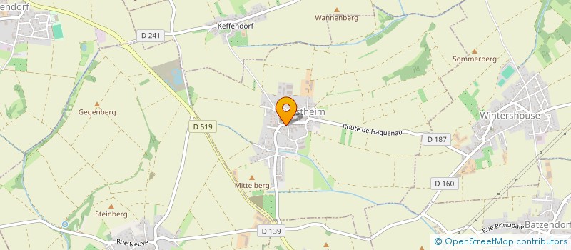 localisation de l'entreprise MADAME NATHALIE LEVIEUX  BERSTHEIM