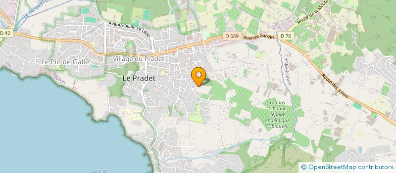 localisation de l'entreprise MADAME NATHALIE LONGOBARDI  LE PRADET